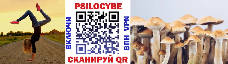 Галлюциногенные грибы прущие грибы  Пермь 